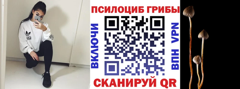 Галлюциногенные грибы мицелий  купить наркотики сайты  Йошкар-Ола 
