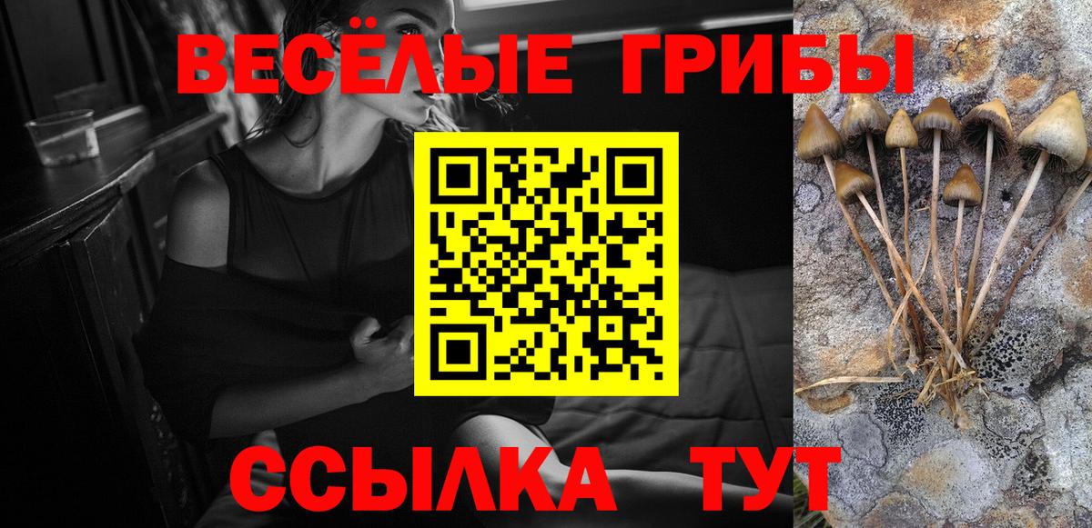 Йошкар-Ола  Галлюциногенные грибы Cubensis  Вход с VPN  Галлюциногенные грибы Magic Shrooms 