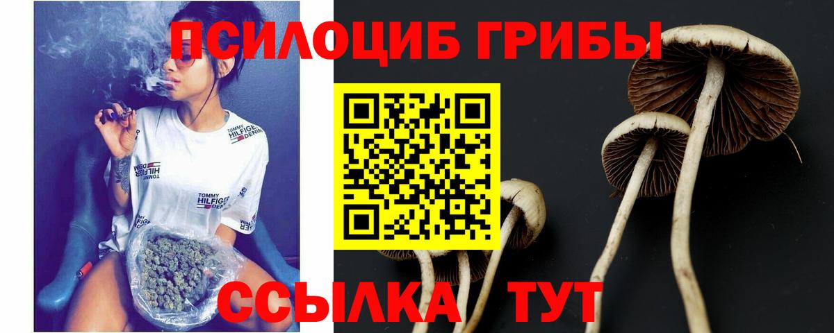 Галлюциногенные грибы ЛСД Йошкар-Ола
